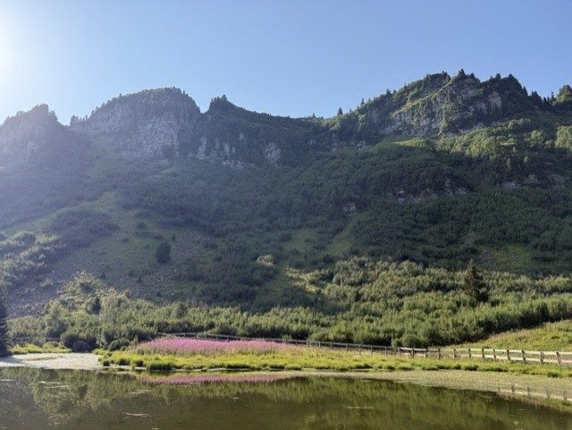 Lac d'altitude fleuri au-dessus des Carroz d'Arâches