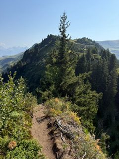 Sentier de randonnée en forêt vers un sommet du Grand Massif