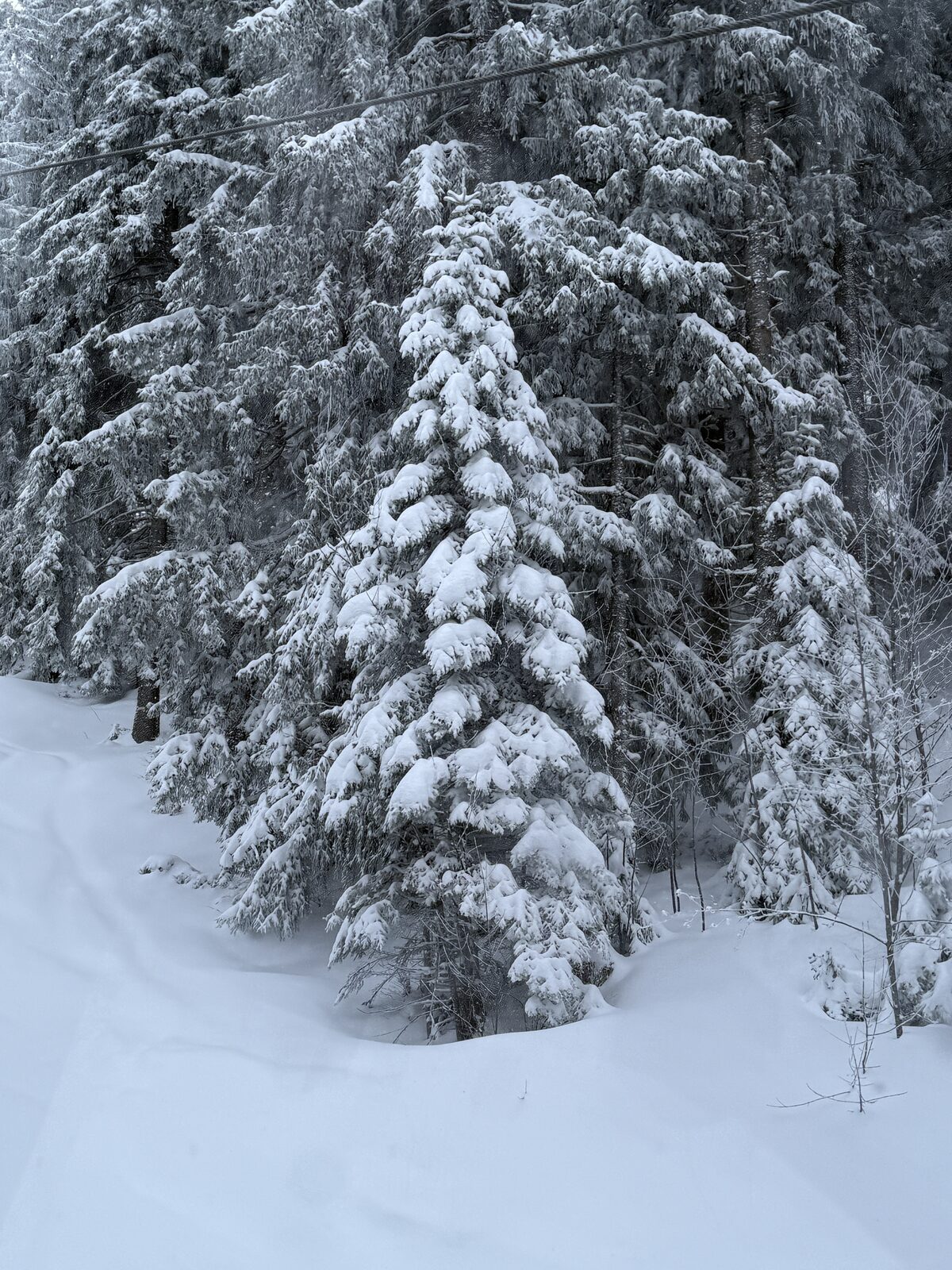 Christmas skiing in Les Carroz 2026: opening dates & booking